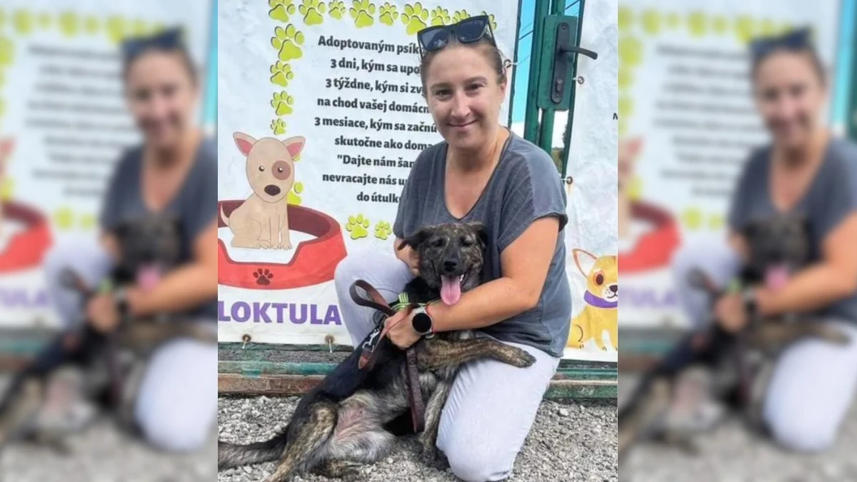 Held by Hope: A Sweet Dog's Plea for Salvation