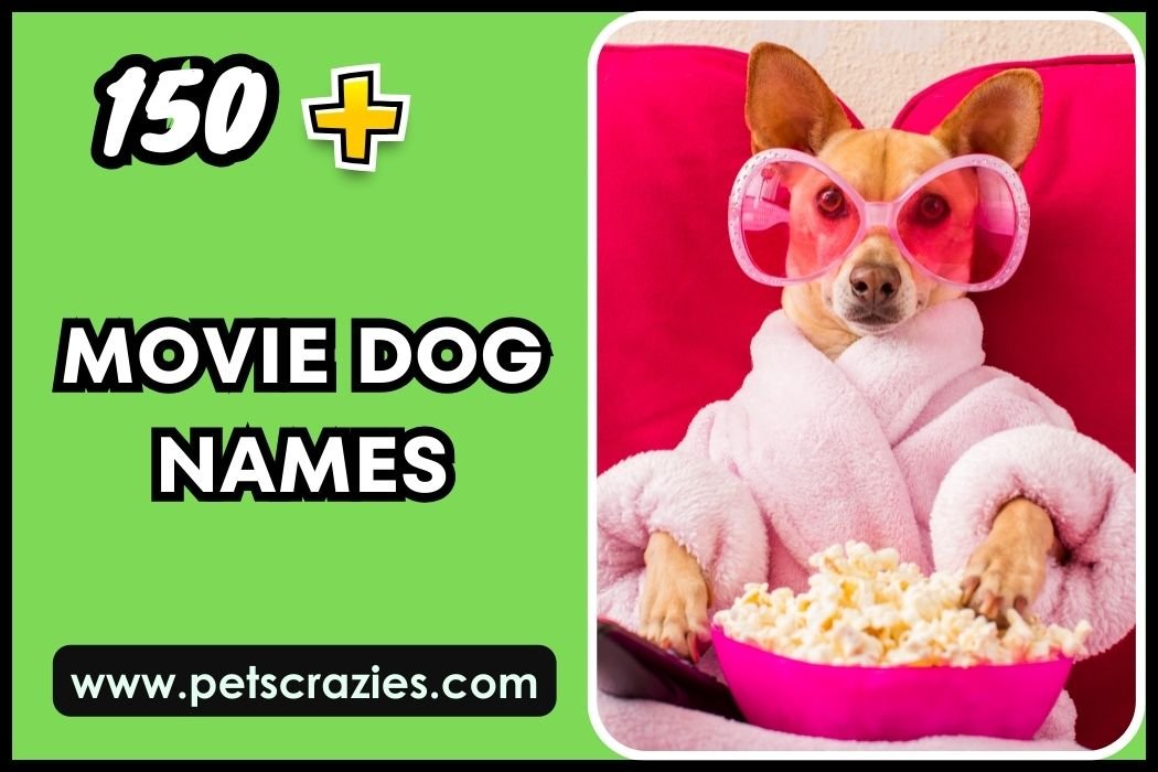 Movie Dog Names