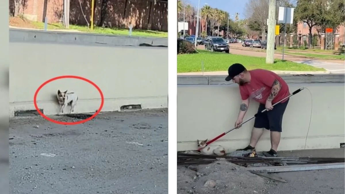 you are a very intelligent woman