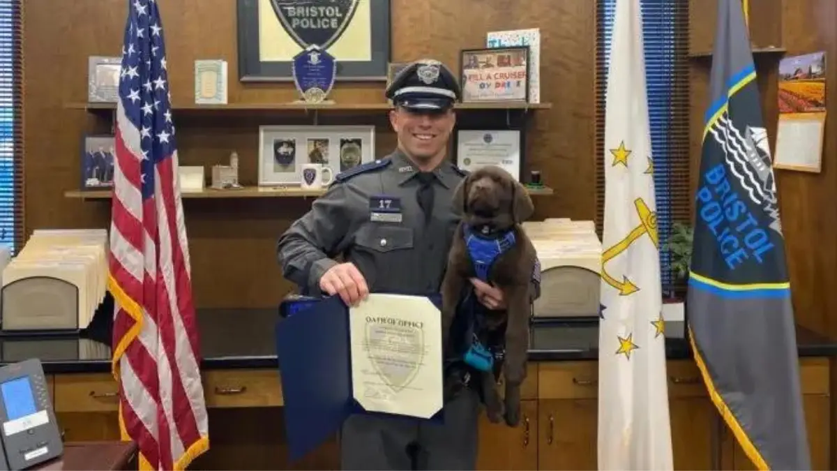 Sleepy K-9 Puppy Dozes Off During Big Ceremony