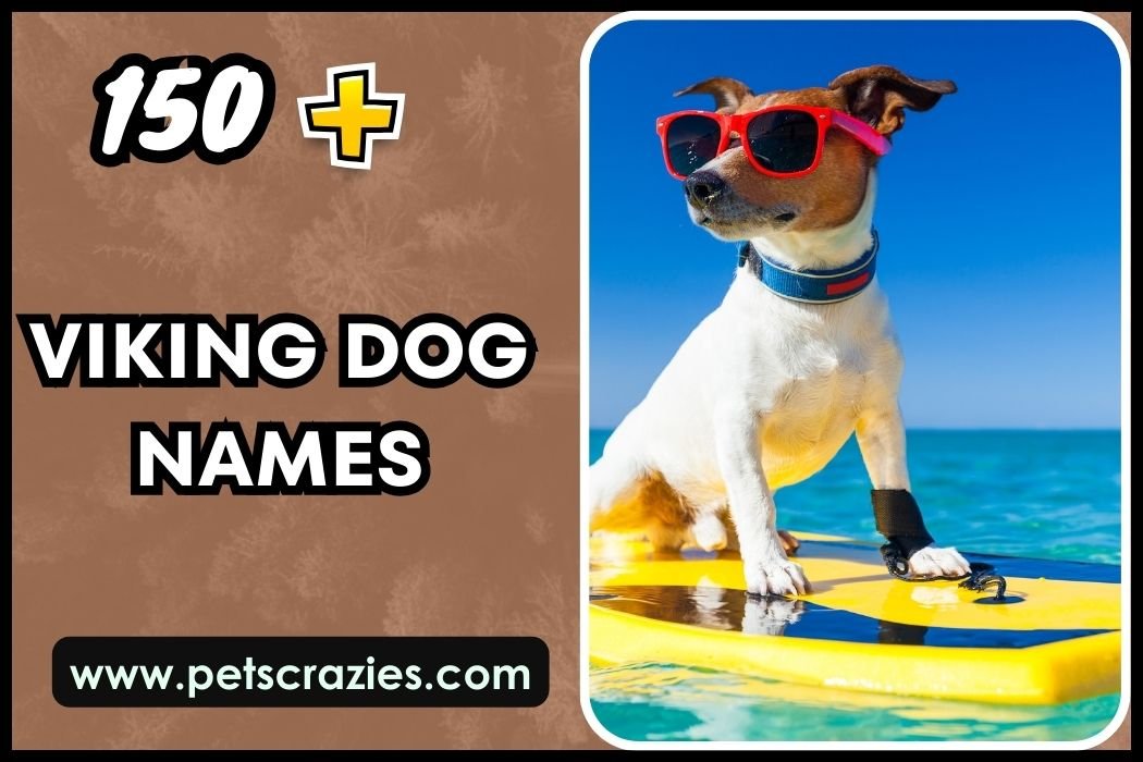 Viking Dog Names - Bold And Strong Picks 1 Viking Dog Names