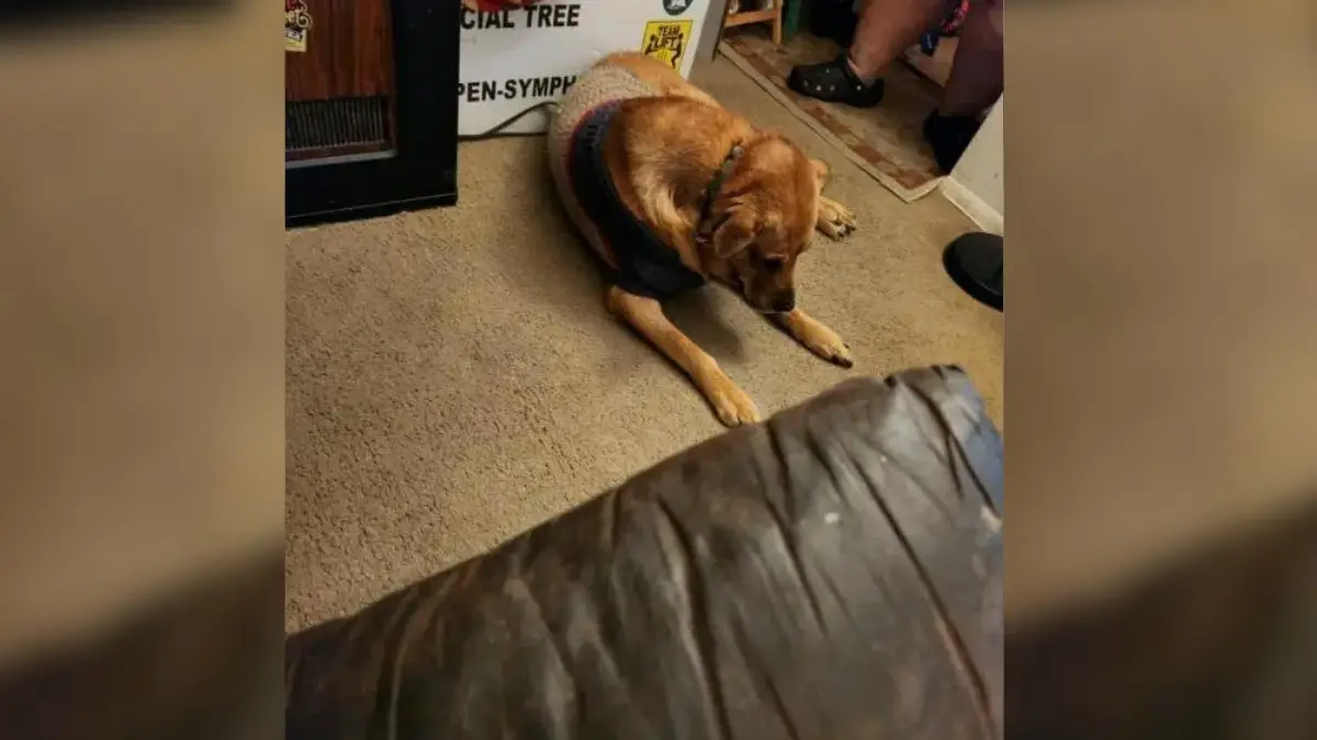 A Family's Goodbye Nearly Ended His Life at 13