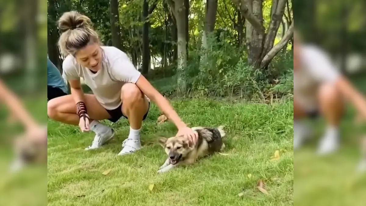 Athlete's Life-Changing Bond with a Stray Dog