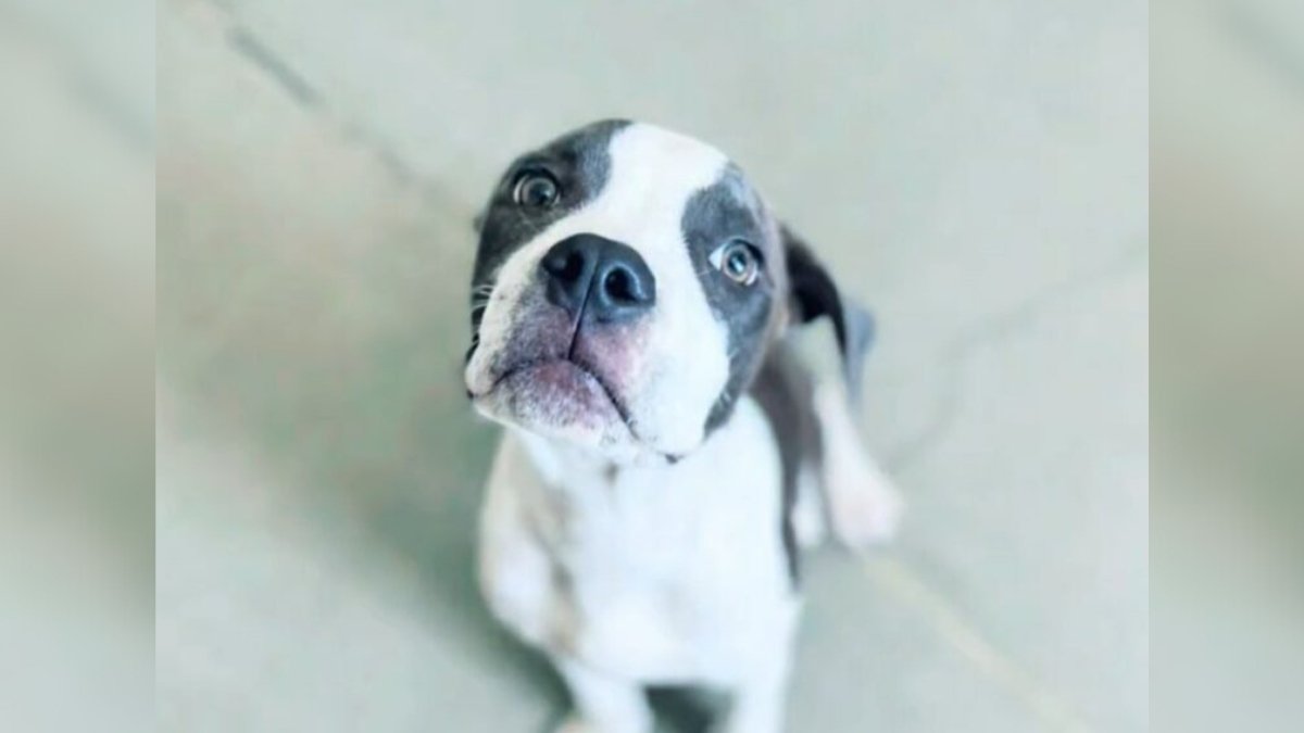Emotional Discovery Awaits Motel Housekeeper in Empty Room