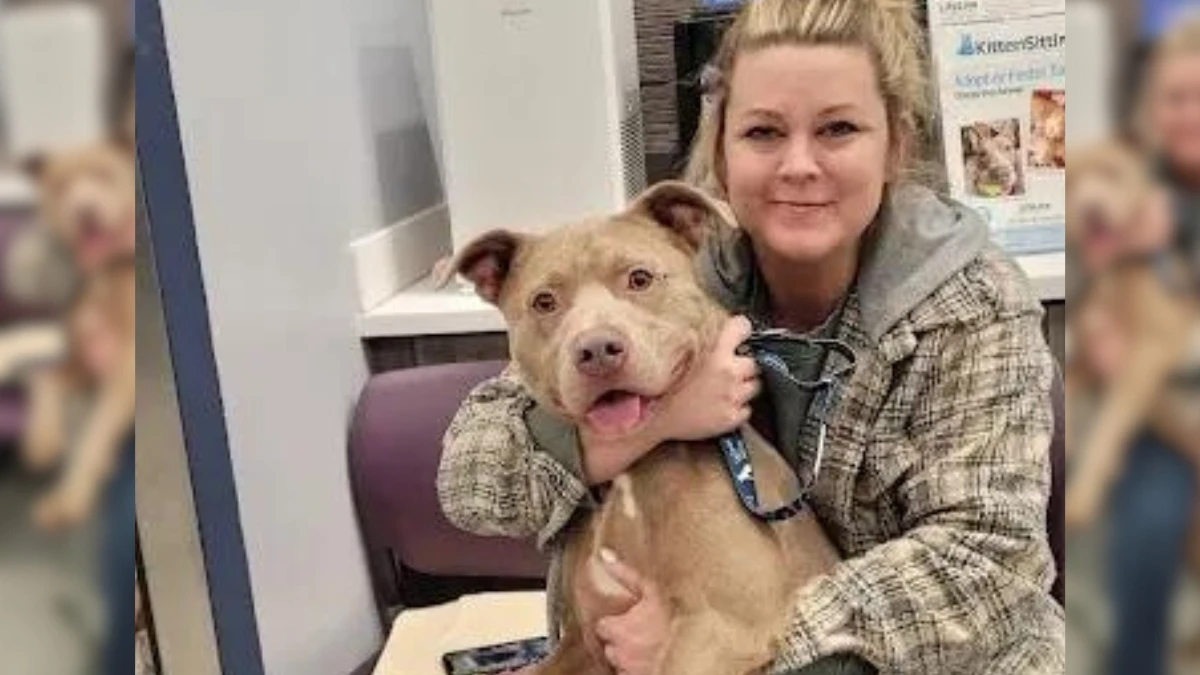 Family's Gut Feeling Brings Their Beloved Dog Back Home