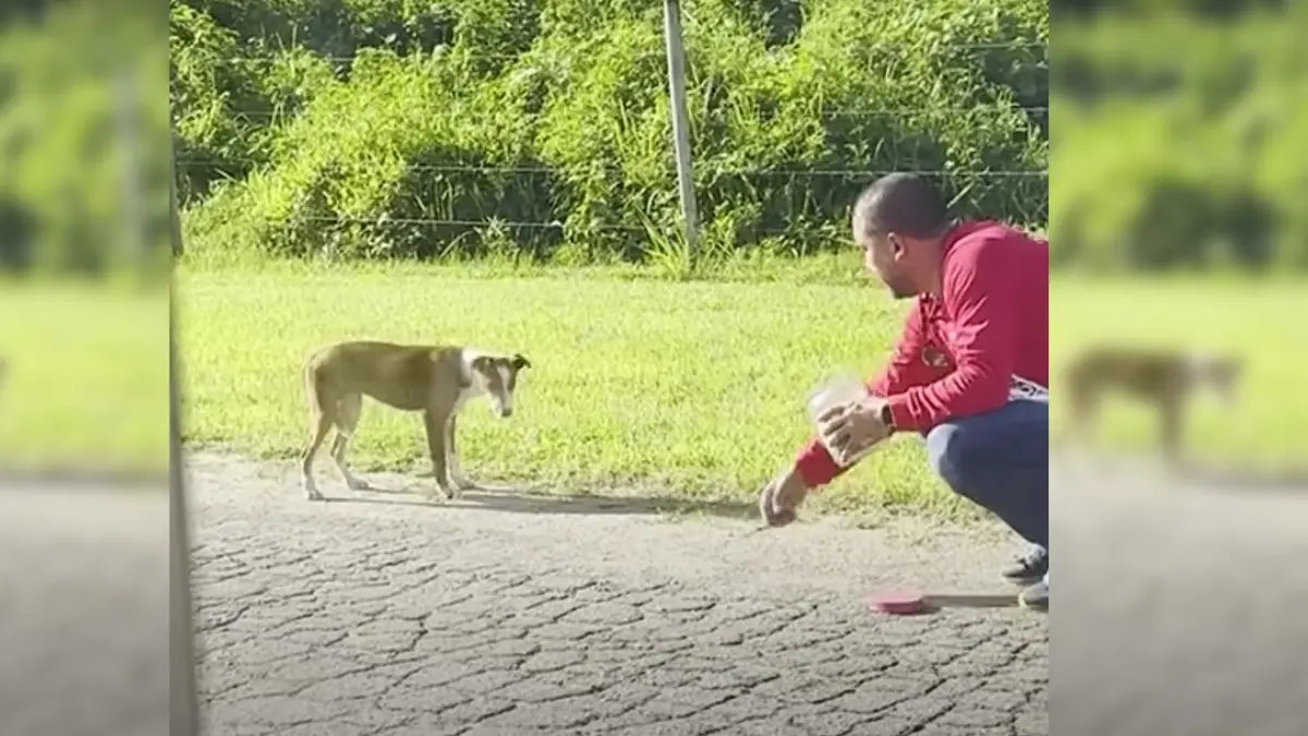 Puppy's Fear Melts Away After Finding Her New Family 1 Puppy's Fear Melts Away After Finding Her New Family