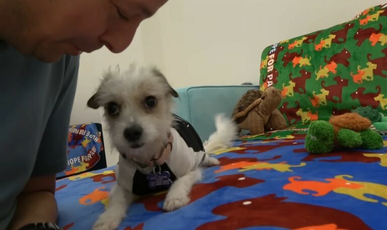 dog-lying-next-to-a-man-768x456 dog lying next to a man 768x456 1