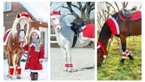Horse Costume For Horses 6-Piece Horse Christmas Costume Set - Santa Hat, Velvet Saddle & Leg Wraps For Holiday Parades Christmas Horse Outfit