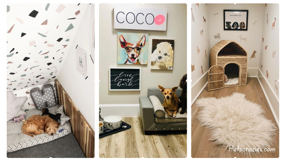 20 Cozy Dog Room Ideas Your Pup Will Love