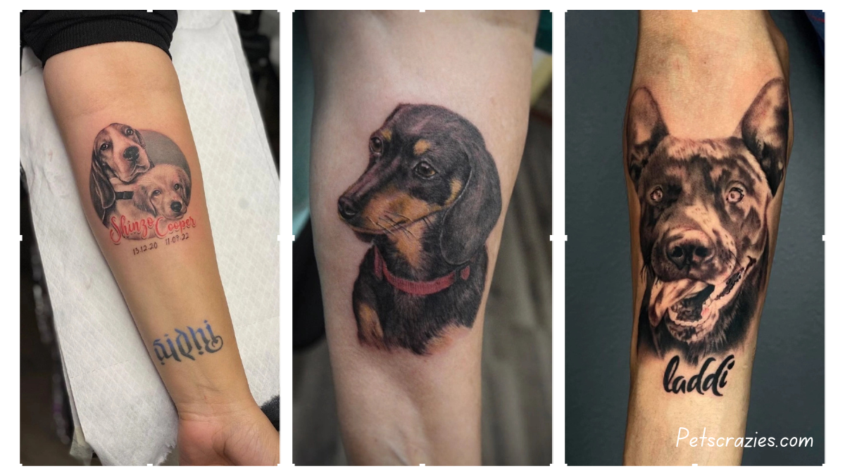 15 Dog Tattoo Ideas