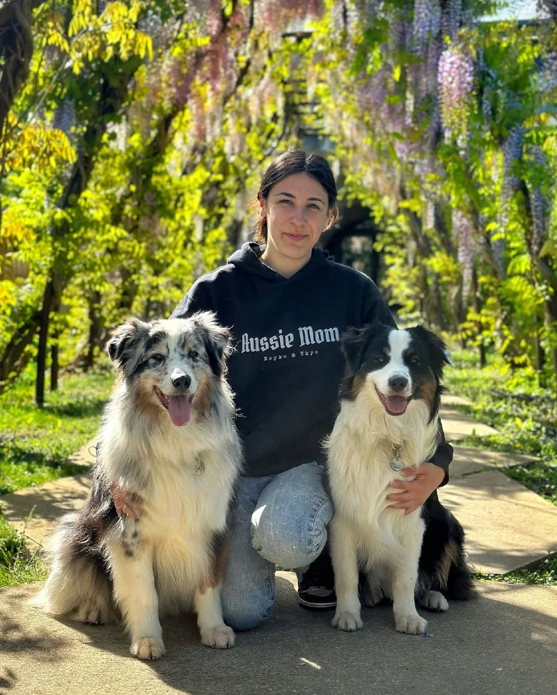 Aussie Mom & Her Pack