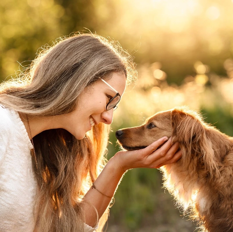 Golden Hour Connection