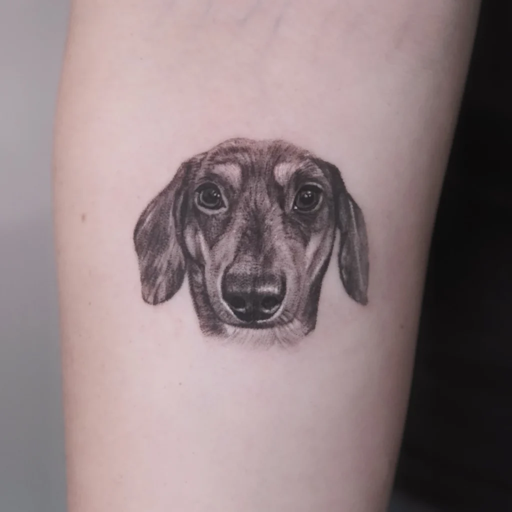 Pawsome Ink: Dachshund Portrait