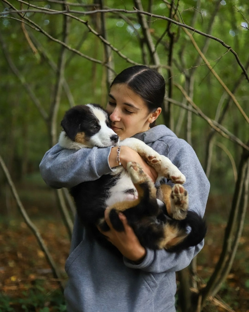 Puppy Cradle in the Woods