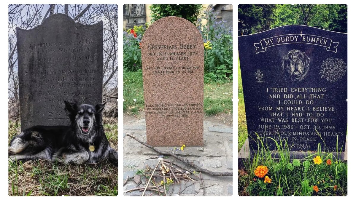 14 Heartfelt Dog Headstone Ideas