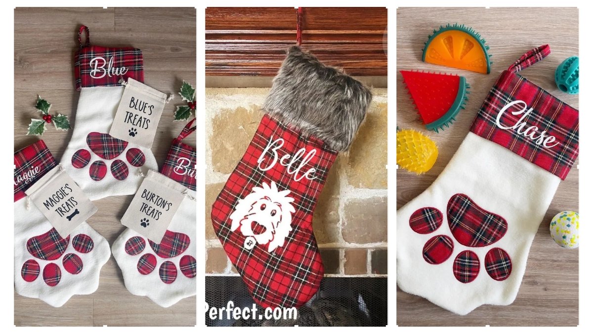 14 Heartwarming Dog Christmas Stocking Ideas