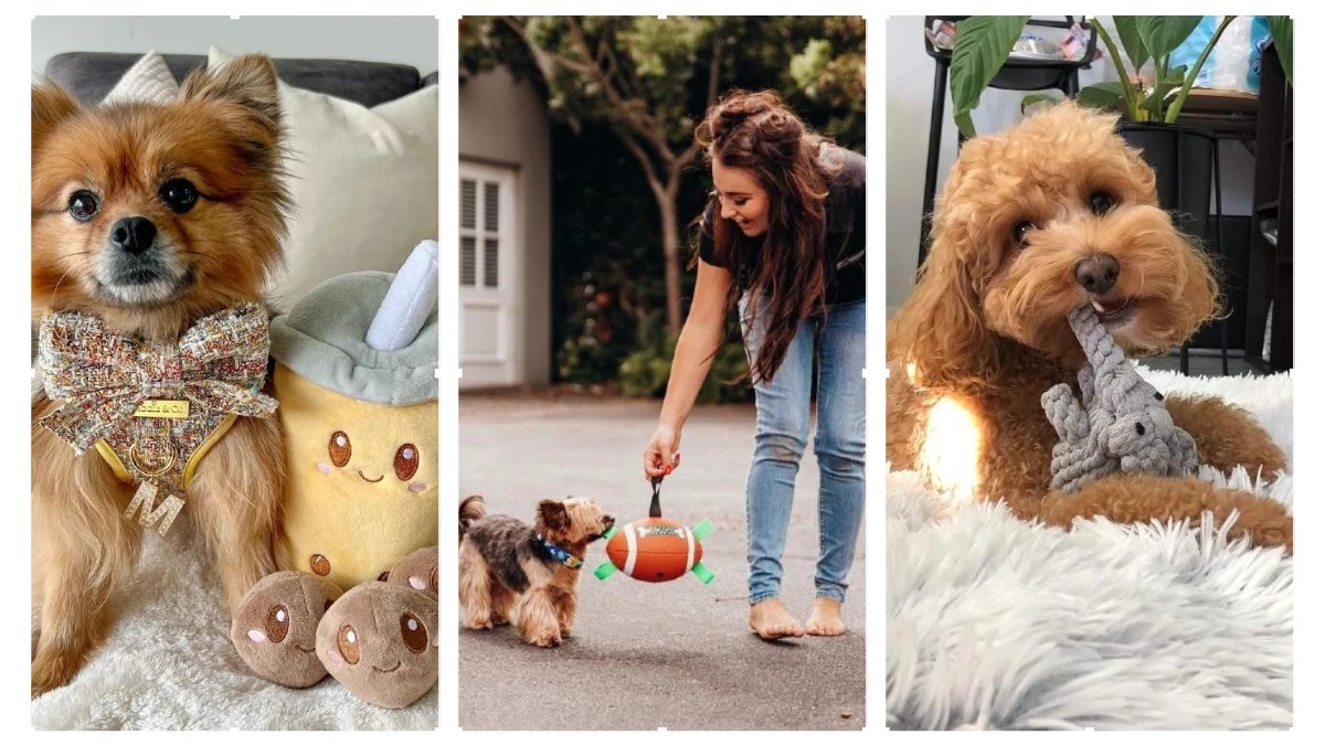 14 Inspiring Dog Toys Ideas for Every Canine