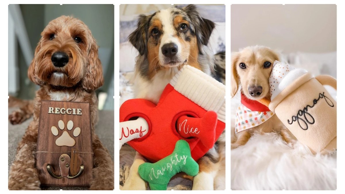 14 Unique Dog Gift Ideas