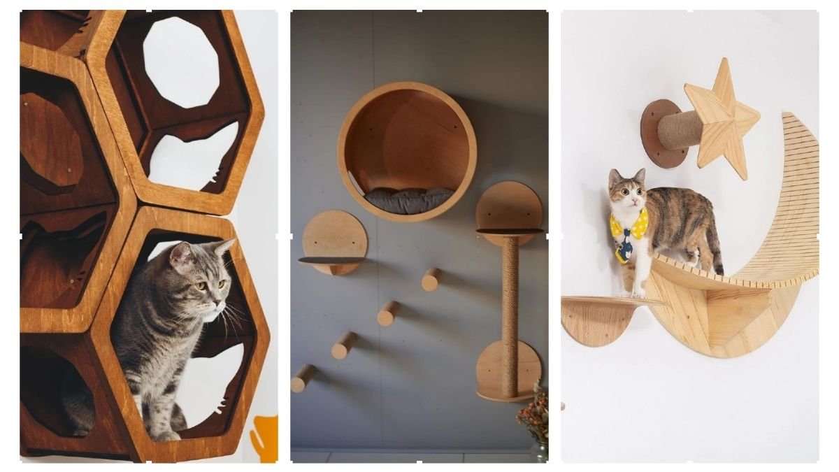 20 Cat Wall Shelf Ideas to Keep Your Cat Happy