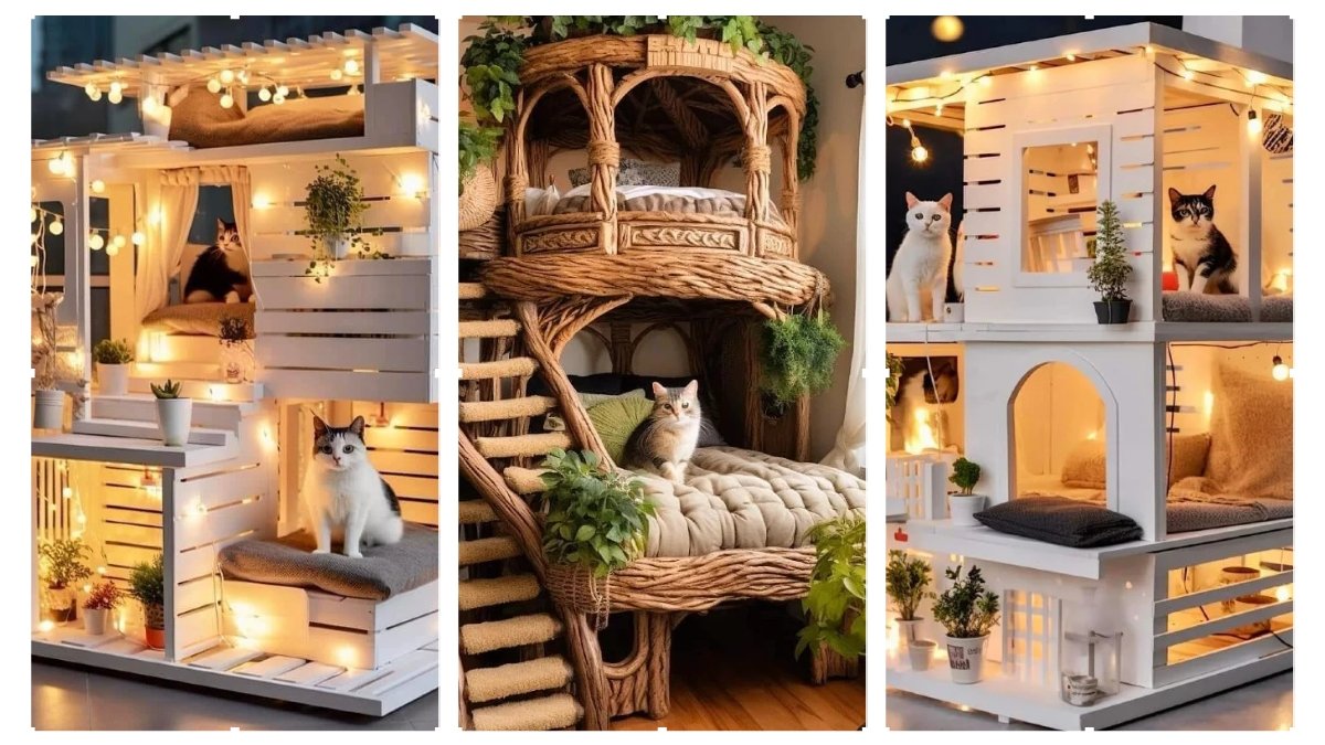 15 Cozy Cat House Ideas for Small Spaces