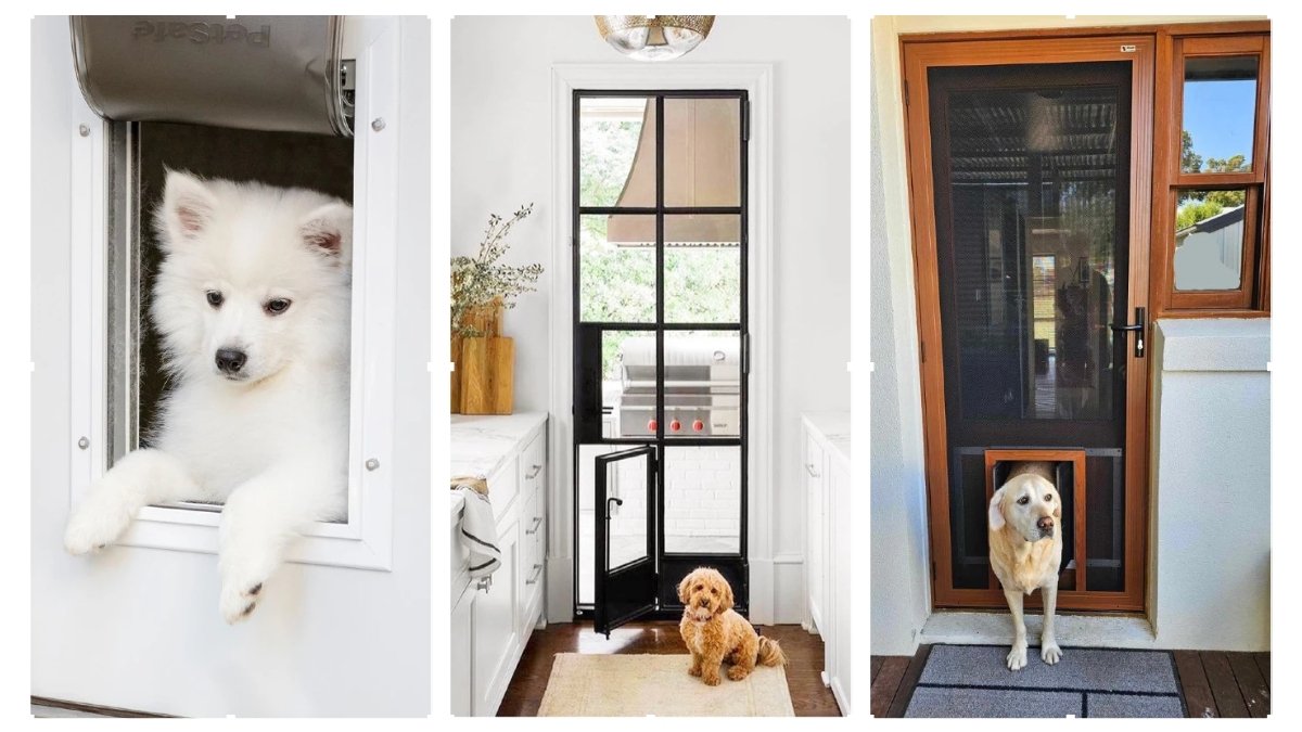 15 Cute Dog Door Ideas