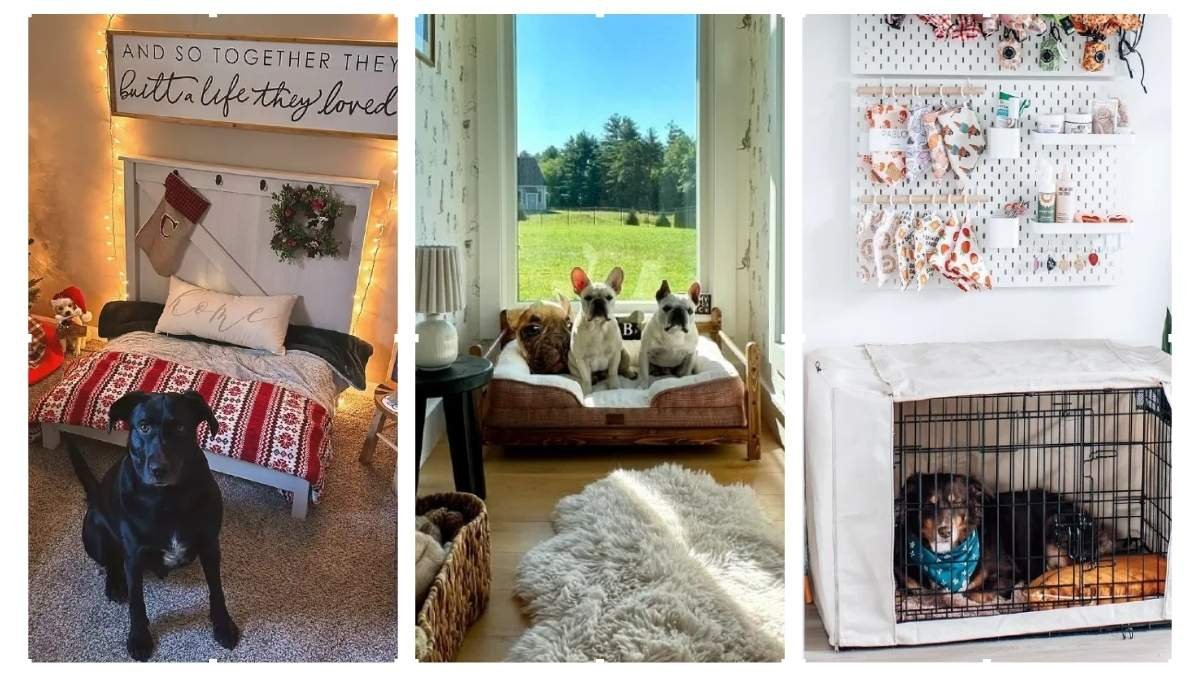 15 Dog Corner Ideas
