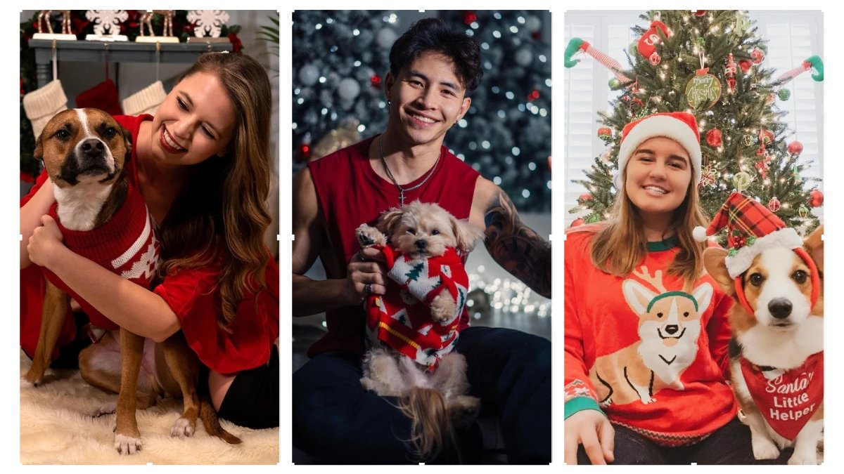 15 Fun Matching Christmas Sweater Ideas for Dog and Owners