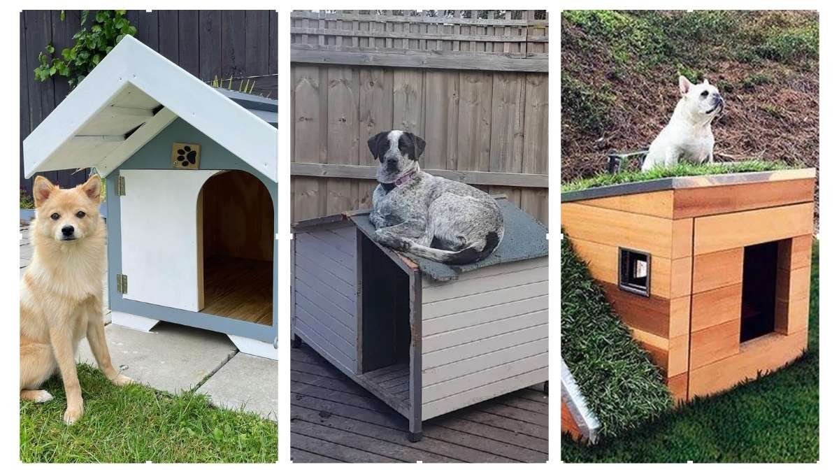 15 Homemade Outdoor Dog Kennel Ideas