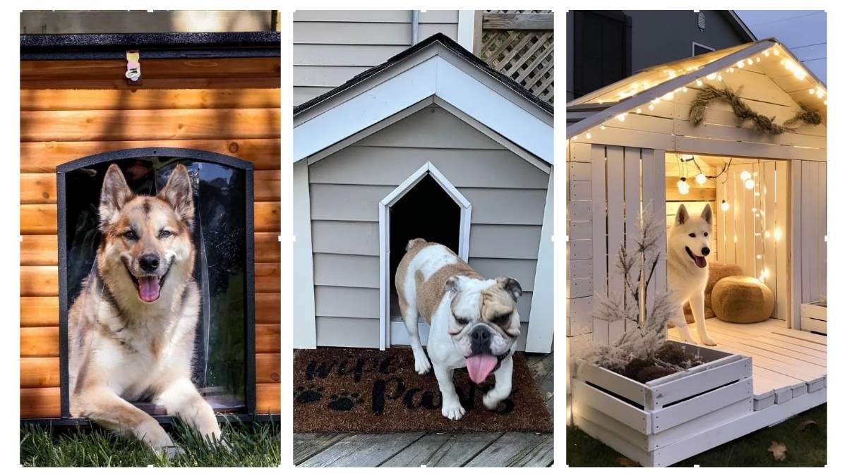 15 Large Dog House Ideas