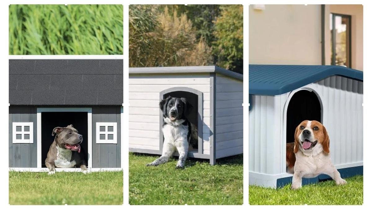15 Outdoor Dog Houses Ideas