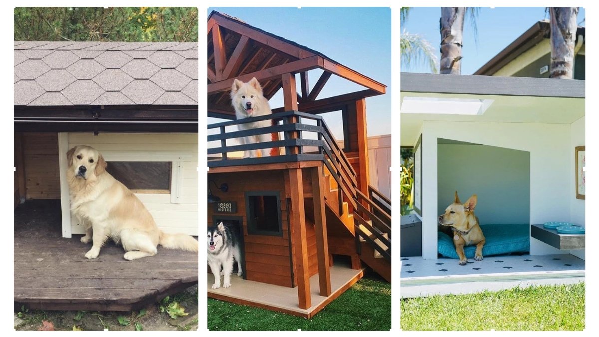 15 Pawesome DIY Dog House Ideas