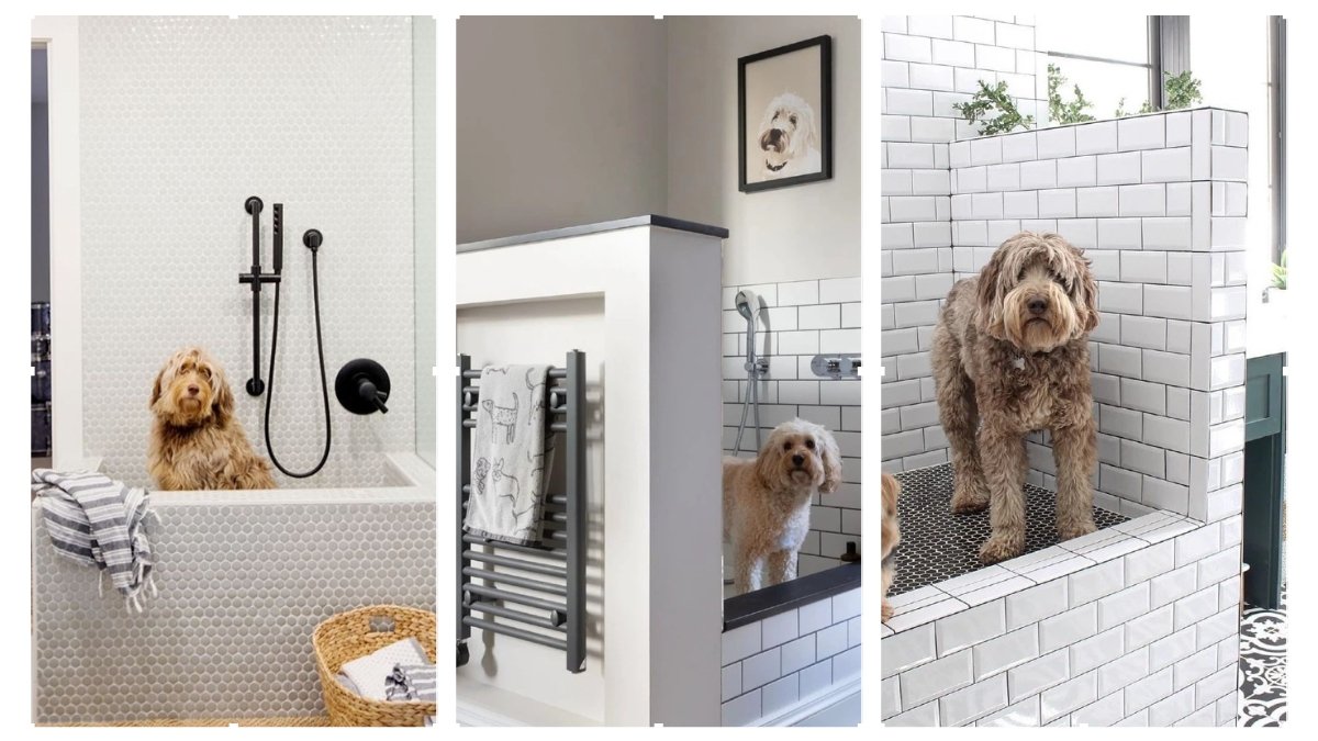 15 Smart Dog Washing Area Ideas