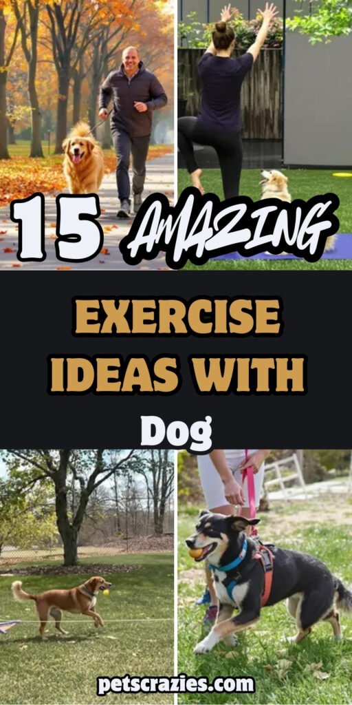 Pets Getting Exercise 15 Exercise Ideas With Dog