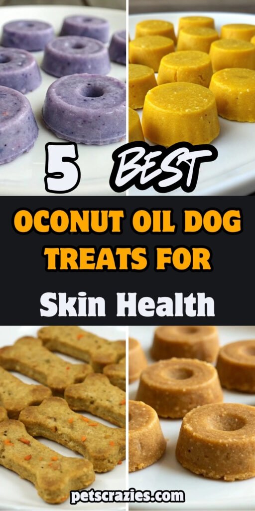 View of 5 Coconut Oil Dog Treats for Skin Health