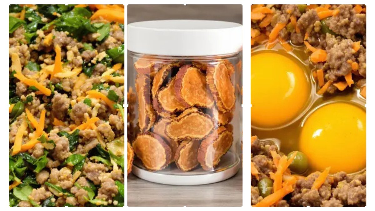 5 Dehydrated Dog Treat Recipes 1 1