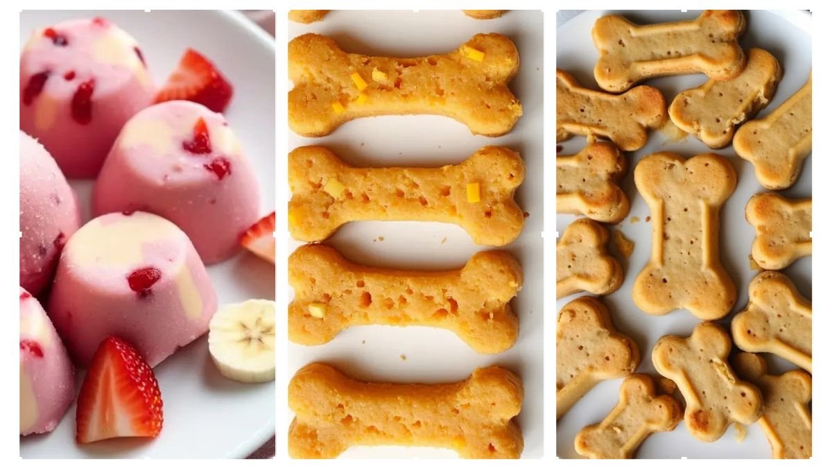 5 Gluten-Free Dog Treats Recipes to Try Today