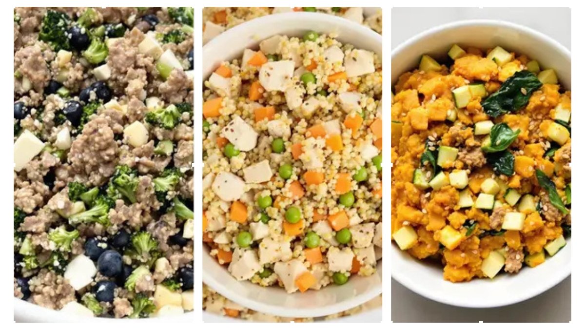 5 Grain Free Beef and Lamb Dog Food Recipes 1 5-Grain-Free-Beef-and-Lamb-Dog-Food-Recipes.