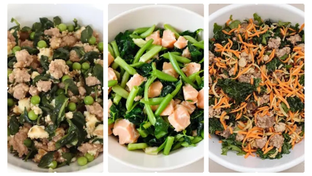 5 Homemade High Protein Low Carb Dog Food Recipes