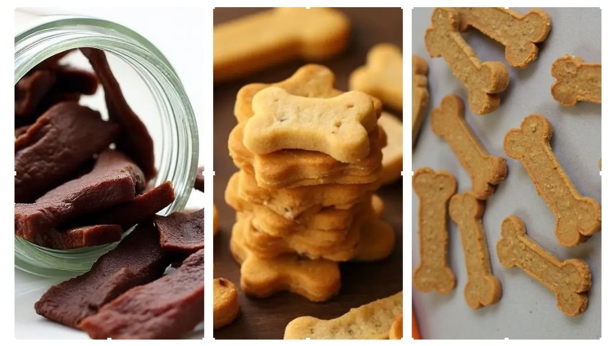 5 Homemade Meat-Based Dog Treats for Your Furry Friend