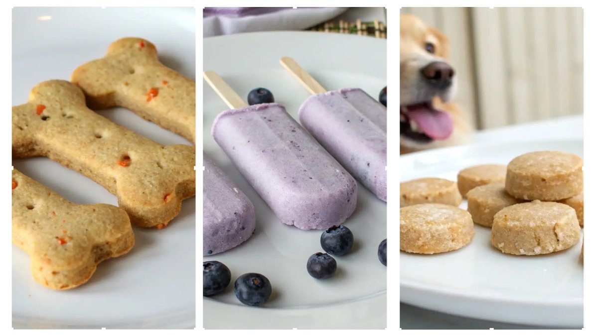 5 Low-Sodium Dog Treats for Heart Health