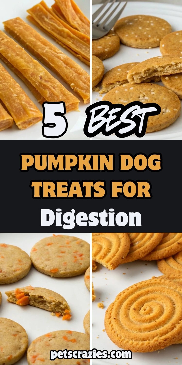 5 Pumpkin Dog Treats for Digestion 2