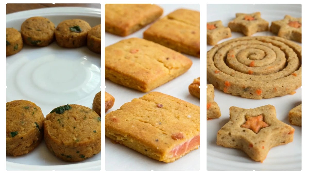 5 Salmon or Sardine Dog Treats for Omega-3 (1)