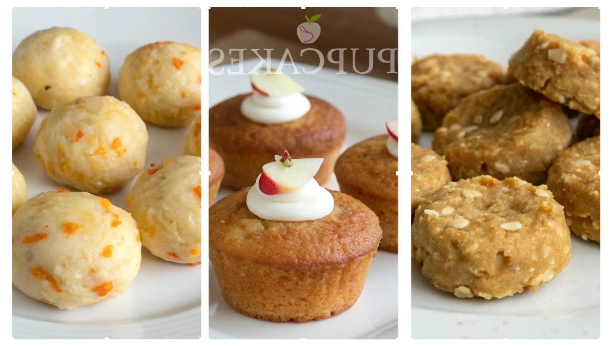 5 Senior Dog Treats for Aging Pets