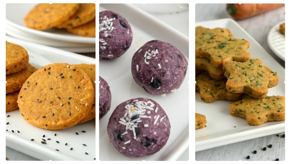 5 Superfood Dog Treats