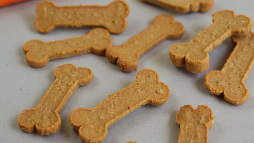 5 Homemade Meat-Based Dog Treats for Your Furry Friend 15 Chicken and Carrot Dog Biscuits Recipe