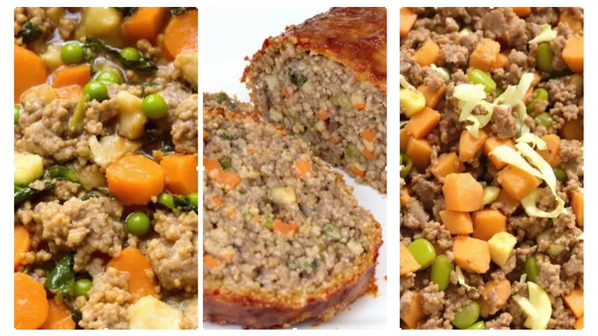 Dog Treats for Sensitive Stomachs 5 Homemade Recipes