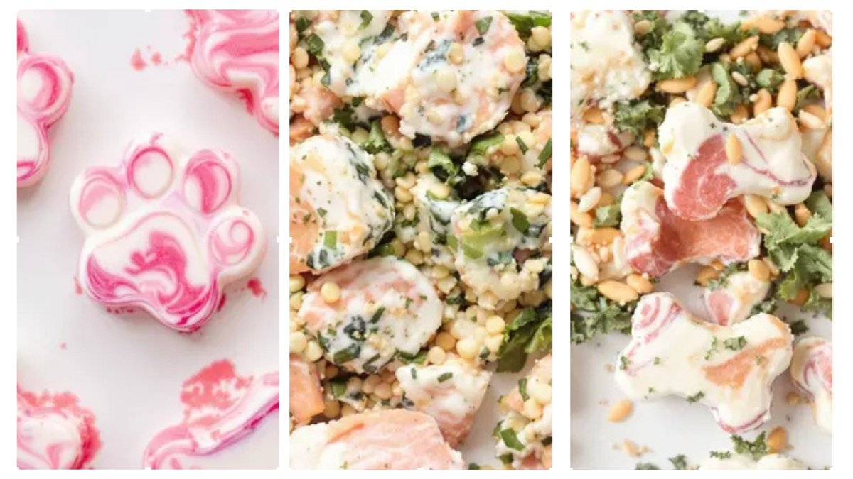 3-Ingredient Watermelon Dog Treats for Hydration