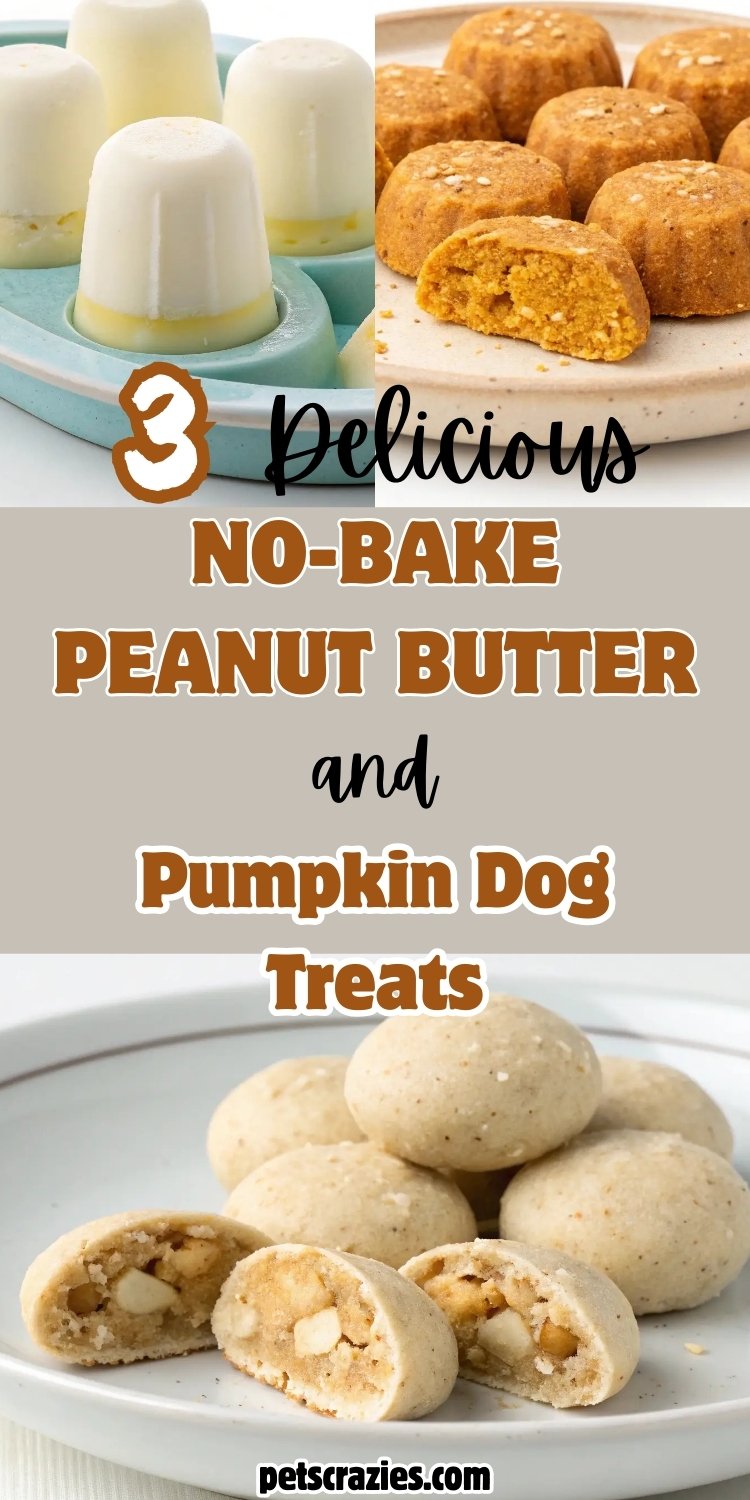 3 No-Bake Peanut Butter and Pumpkin Dog Treats