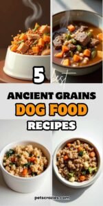 Illustration of Ancient Grain Dog Food With Egg And Astaxanthin