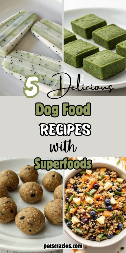 5 Dog Food Recipes with Superfoods (Chia, Hemp, Spirulina) - Puppy Food With Chia Seeds And Cilantro